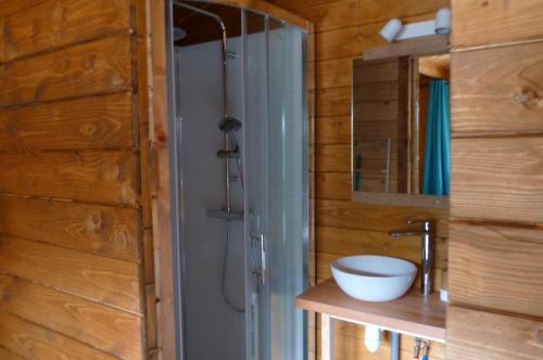een badkamer met een wastafel en een douche in de kamer bij Pied de Mouton in Comblessac