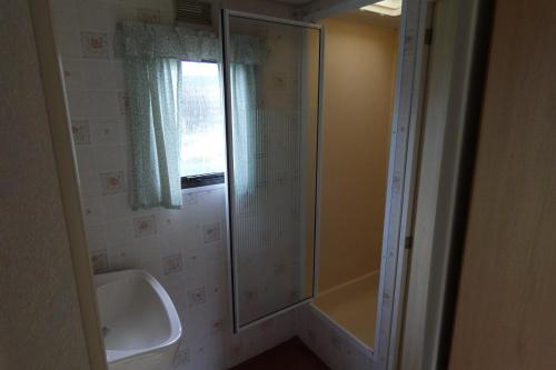 HohenferchesarMobilheim Monika的浴室配有淋浴和洗手池