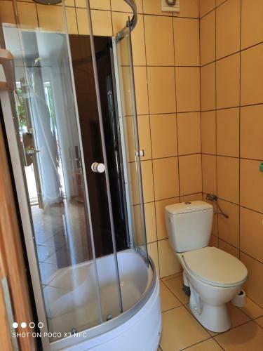 a bathroom with a toilet and a shower at Chata Pod Różą in Lędzin