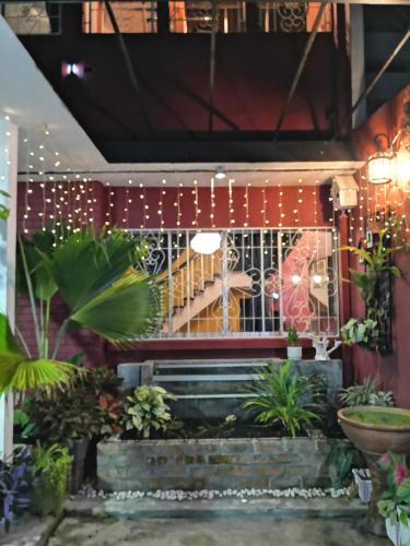 Κήπος έξω από το H&T Vintage Decor Homestay