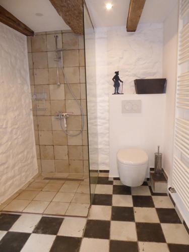 a bathroom with a toilet and a shower with a shower at Ferienhaus am Eifelsteig in Alendorf