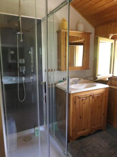 een badkamer met een douche en een wastafel bij Le Ginkgo - Mont Dauphin in Eygliers