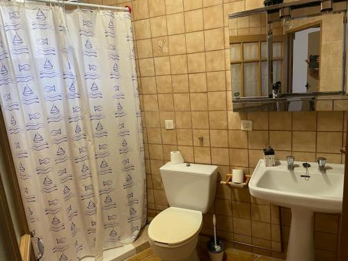 a bathroom with a toilet and a sink and a shower curtain at Casa en arisgotas con encanto in Arisgotas
