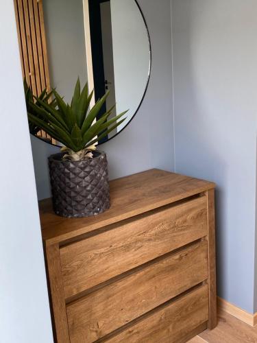 uma cómoda de madeira com um espelho e uma planta sobre ela em Apartment with boat em Spangereid