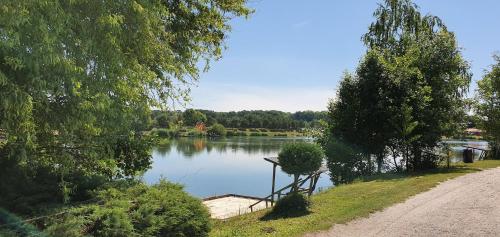 a view of a lake with a boat in it at Sárberki Horgásztó in Lenti