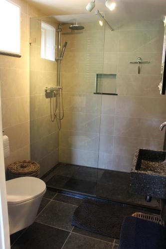 a bathroom with a shower with a toilet and a sink at Holiday home Landelijk Amsterdam in Amsterdam