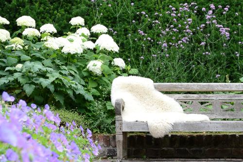 eine Bank in einem Garten mit Blumen in der Unterkunft bb-jonashome in Venlo