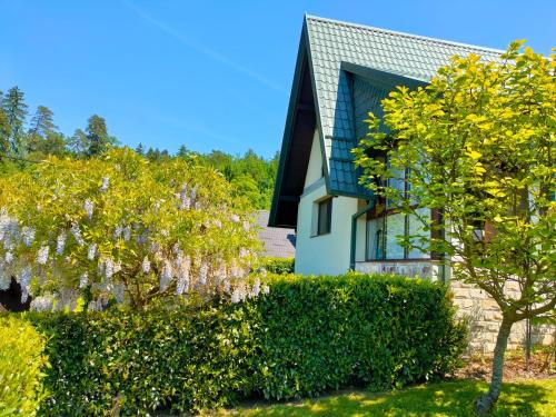 a house with a flowering tree in front of it at Holiday Home Magnolia in Trakošćan