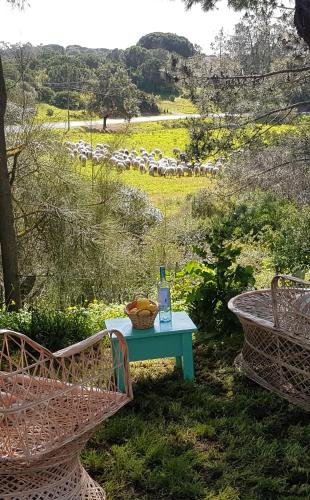 a table with a bowl of fruit on it next to two chairs at Bohème Valdareina, Piscine chauffée, Bénagil-Carvoeiro in Carvoeiro