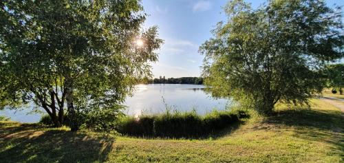 a view of a lake between two trees at Sárberki Horgásztó in Lenti