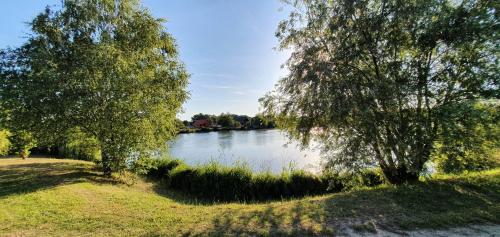 a view of a river with trees on the side at Sárberki Horgásztó in Lenti