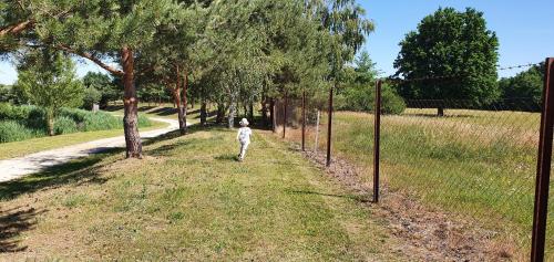 a little girl walking down a path next to a fence at Sárberki Horgásztó in Lenti