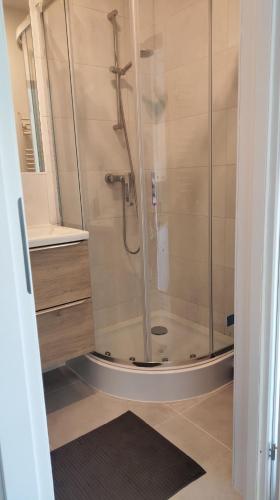 a shower with a glass door in a bathroom at Studio 4 Piętro II in Sopot