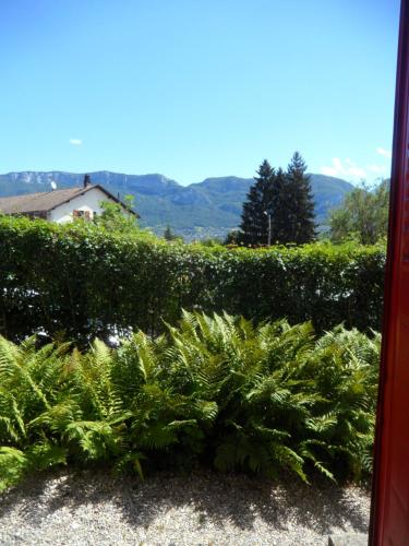 Photo de la galerie de l'établissement Les Fougères, à Sévrier