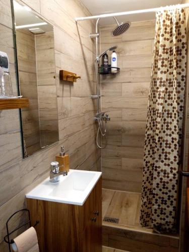 a bathroom with a sink and a shower at Apartman Konak in Zaječar
