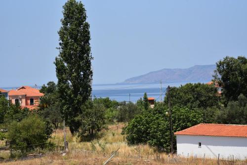 a tree and a building with a view of the water at Shining Star Petra in Petra