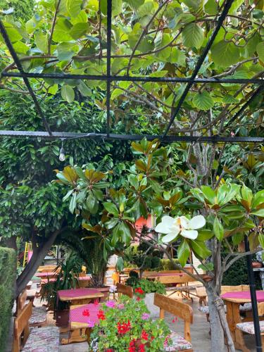 a garden with tables and benches and flowers at Hotel Jambo in Golden Sands