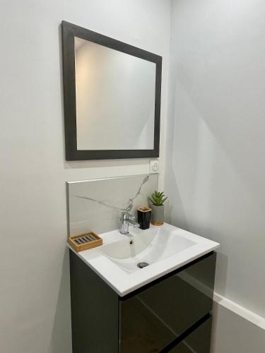 a bathroom with a white sink and a mirror at Faubourg des voyageurs n°4 in Saran