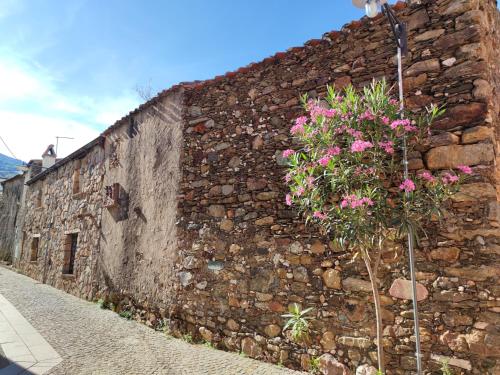 a stone wall with a plant with pink flowers at Sa Dommu 'e su coro in Triei