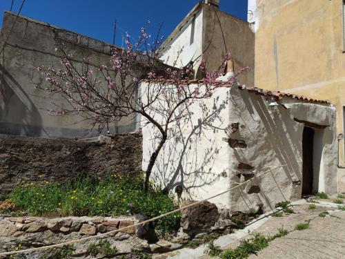 a tree with pink flowers on it next to a building at Sa Dommu 'e su coro in Triei