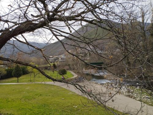a view of a river from a park with a tree at CAMPING LA ZARAPICA - Palacios del Sil in Palacios del Sil