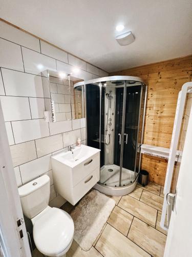 une salle de bain avec une douche, des toilettes et un lavabo dans l'établissement Chalet des illes BERMUDE III, à Prat-et-Bonrepaux