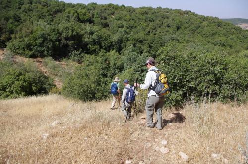 Fotografie z fotogalerie ubytování Ajloun Forest Reserve v destinaci Džaraš