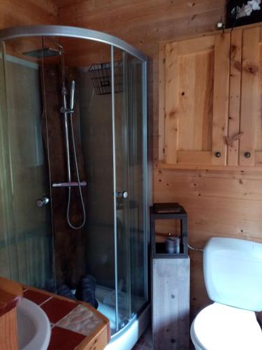 a bathroom with a shower and a toilet and a sink at Côté Jardin, Spa privatif 