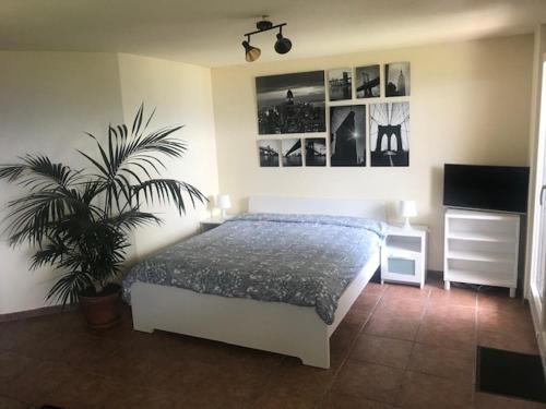 una camera con un letto e una pianta di Studio der Alpen a Thun