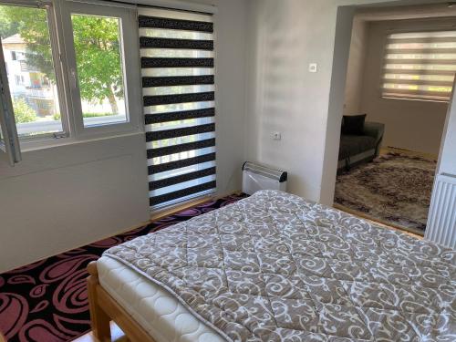 a bedroom with a bed and two windows at House in beautiful nature in Pazarić