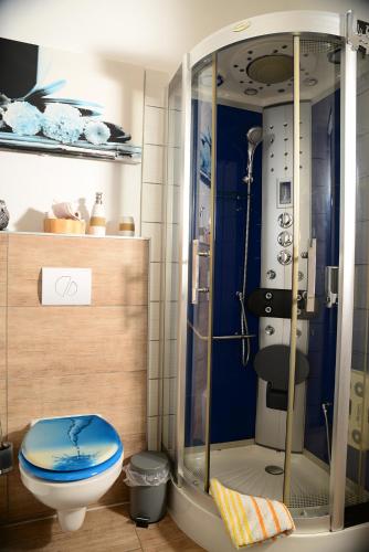a bathroom with a shower and a toilet in it at Ferienanlage Markus Nitsch in Bärenstein