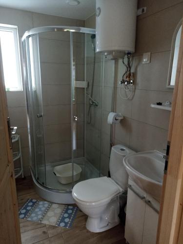 a bathroom with a shower and a toilet and a sink at Domki z widokiem na morze u Jasia in Trzęsacz