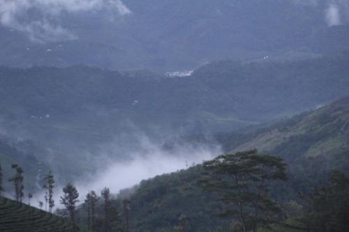 Pine Clough Holidays Vagamon – Photos 4