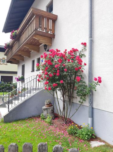 Ferienwohnung Valentin