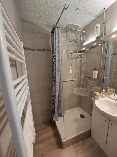 een badkamer met een douche en een wastafel bij Studio rénové grand confort 3 étoiles - Résidence Les Crêtets in Les Rousses