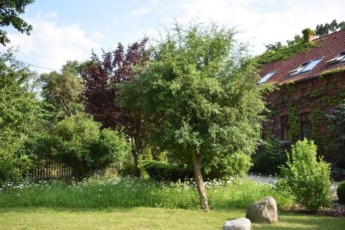 a tree in a yard next to a building at Avalon Połchowo in Kamień Pomorski