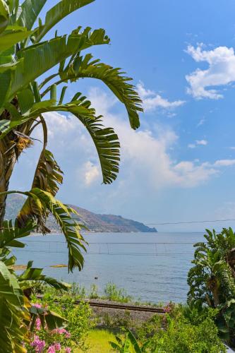 a view of the ocean from a tree at Hotel Baia Delle Sirene in Taormina