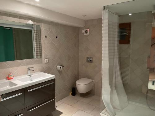 een badkamer met een toilet, een wastafel en een douche bij CHALET LA BOLLINE in Valdeblore