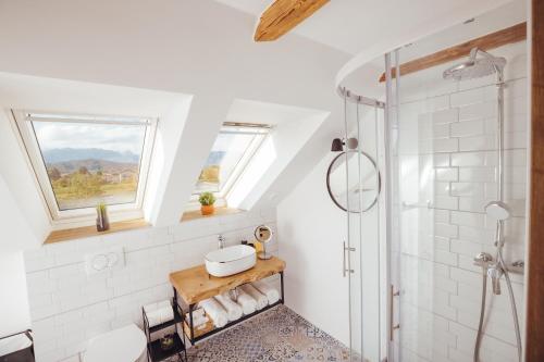 een badkamer met een douche en een wastafel bij Drive Caffe Apartments in Trzin