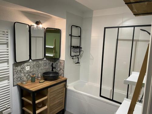 La salle de bains est pourvue d'une baignoire, d'un lavabo et d'un miroir. dans l'établissement Le Teich, appartement coeur de ville, au Teich