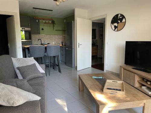 un salon avec un canapé et une télévision dans l'établissement Le Teich, appartement coeur de ville, au Teich