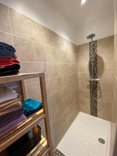 a bathroom with a shower with a walk in shower at Maison de plain pied avec terrain de pétanque in Draguignan