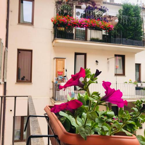 a pot of flowers on a balcony with a building at Casa Conte Rosso in Avigliana