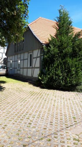 une petite maison avec un arbre en face dans l'établissement Feriendomizil Annette`s Scholle, à Sondershausen