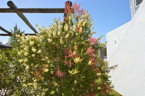 a christmas tree in front of a building at Kalá Hotel Boutique in Punta del Este