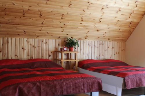 two beds in a room with wooden walls at Brīvdienu Māja AMRAI in Ventspils
