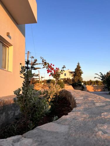 Theasis Apartments
