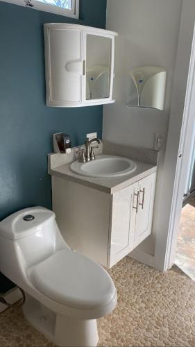 a bathroom with a white toilet and a sink at Green House by W. in Heredia