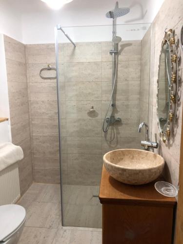 a bathroom with a sink and a glass shower at Cezara in Mediaş