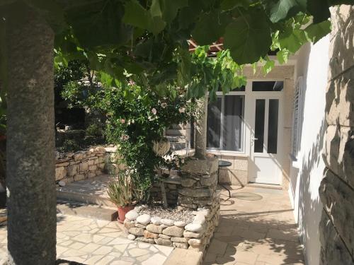 Apartman Flora's Garden